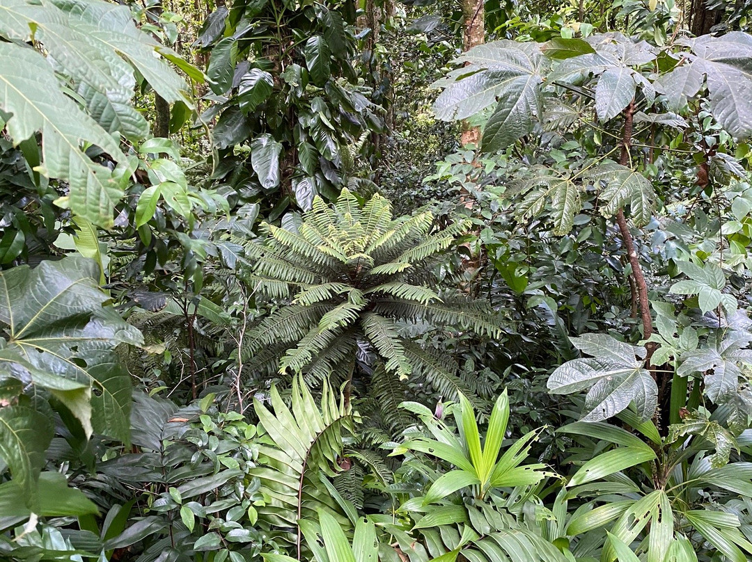 Chute du Galion-Saint-Claude必去景点