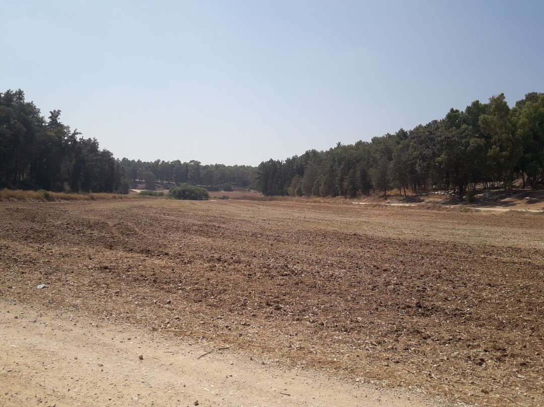 Ben Shemen Forest-Modiin必去景点