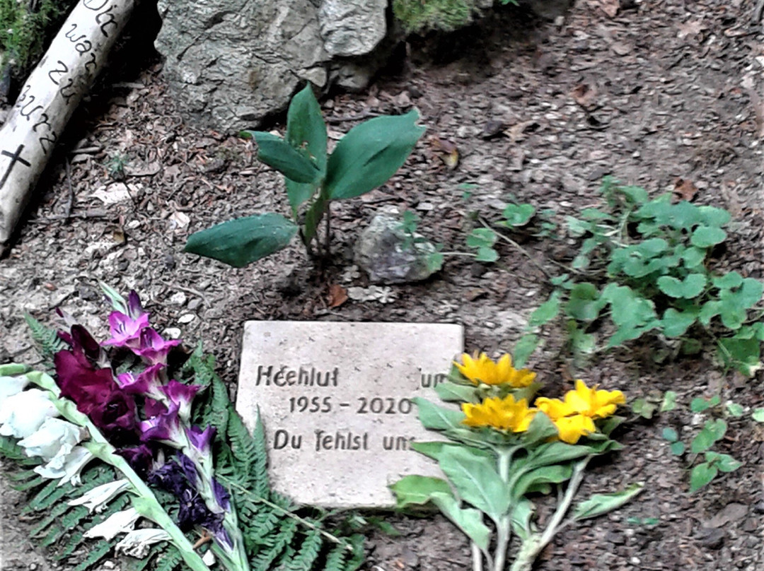 Ruhewald Wittnau-Wittnau必去景点