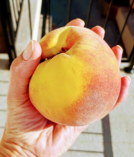 Tiva del Mar Beach主图