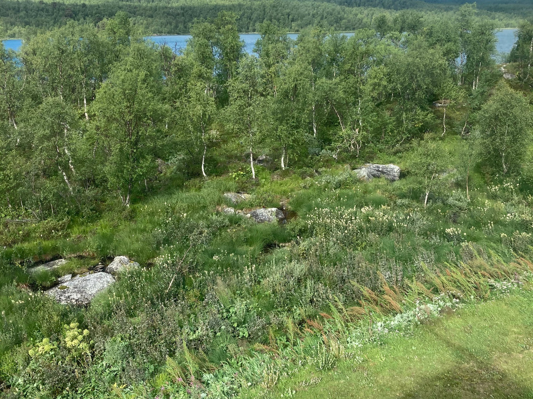 Experience Arjeplog-Arjeplog必去景点