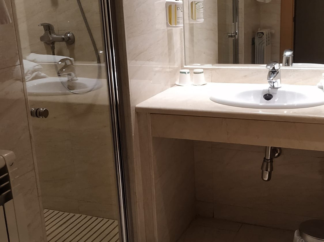 宜必思马德里阿尔甘达酒店主图