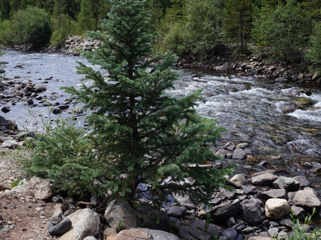 Rebel Sports-弗里斯科必去景点