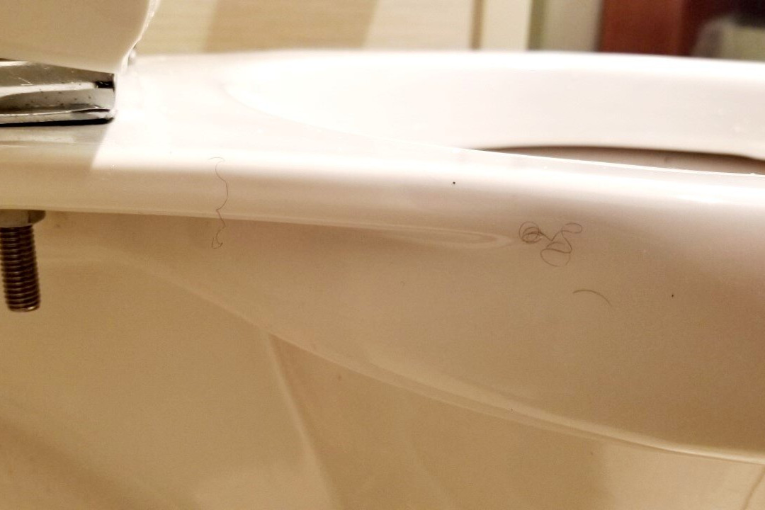 Homewood Suites by Hilton Toledo-Maumee主图