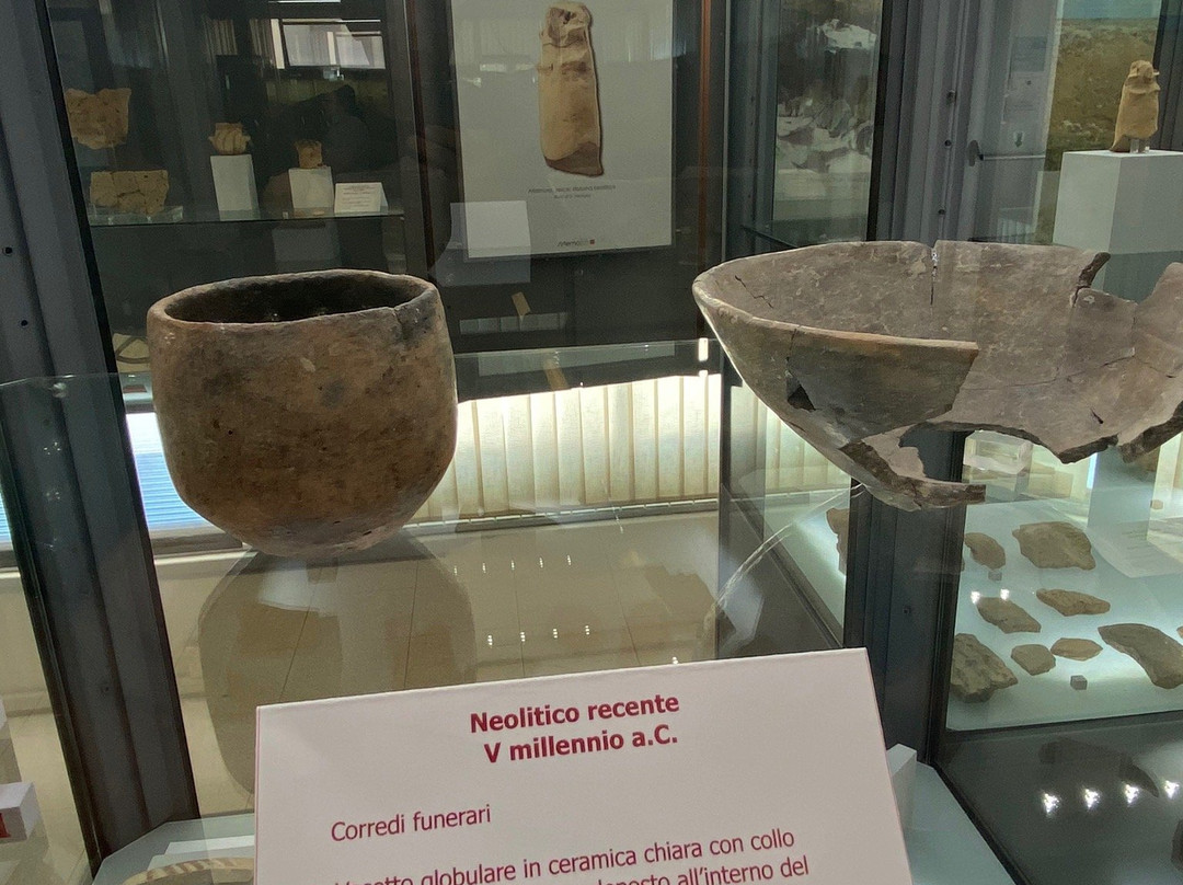Museo Nazionale Archeologico di Altamura景点图片