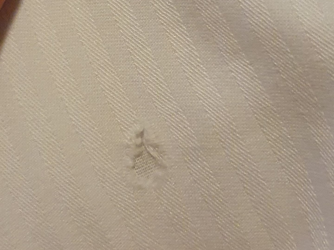 Hotel De Werelt Garderen主图