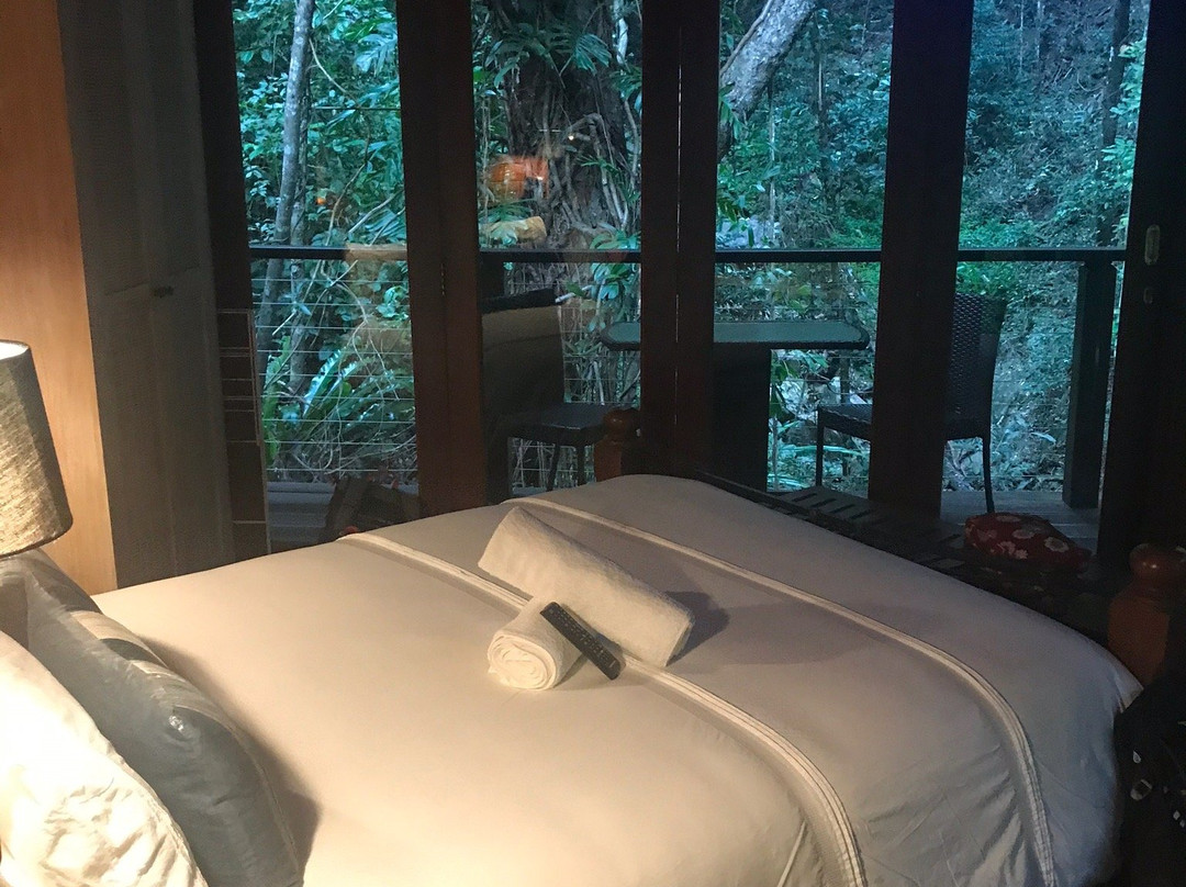 Cairns Reef 'n Rainforest B & B主图