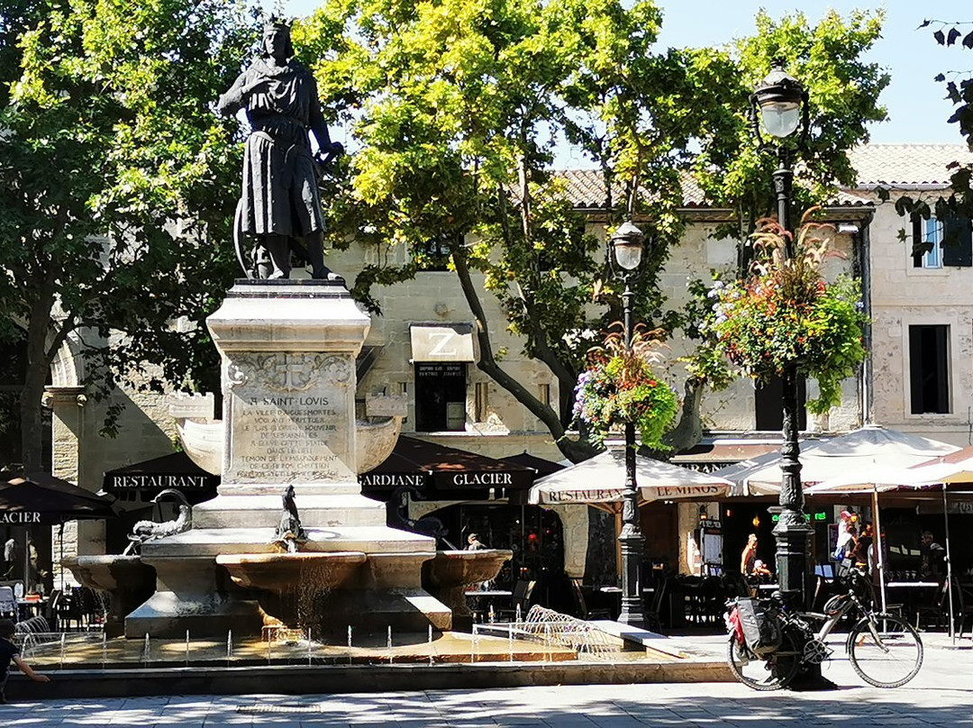 Place Saint Louis景点图片