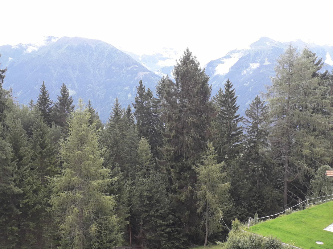 Hotel Pension Tyrol主图