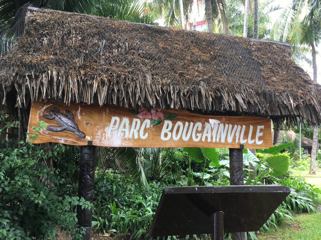 Bougainville Park景点图片