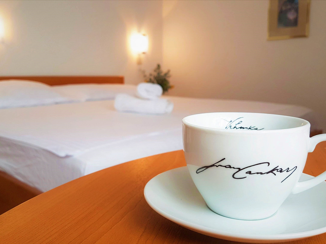 Guest House Bajc主图