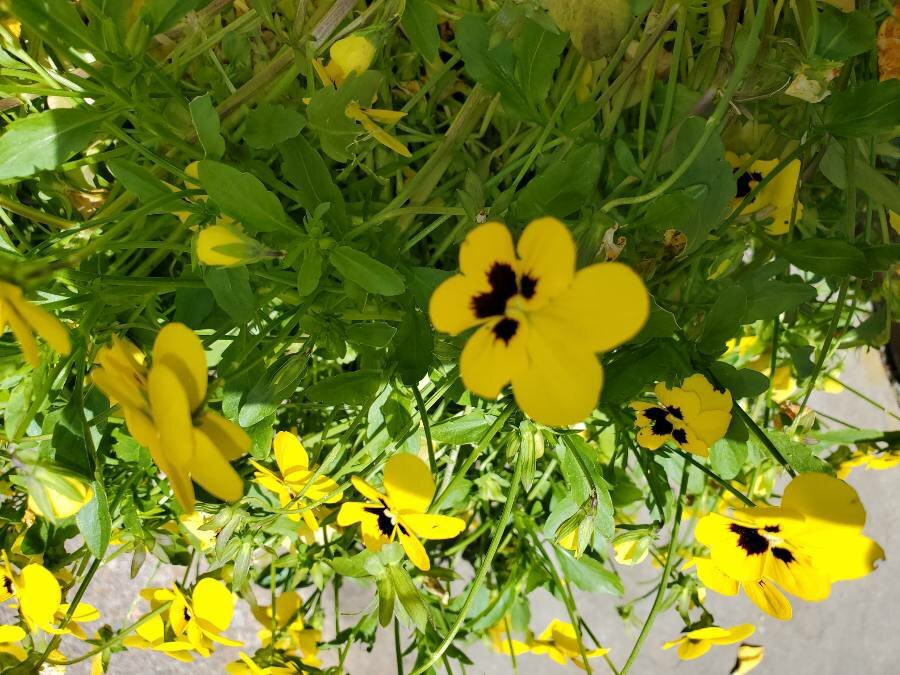 Blue Hills Reservation-Milton必去景点