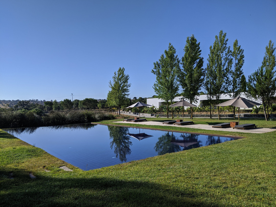 L'AND Vineyards主图