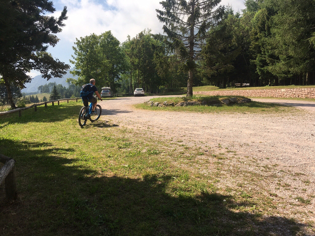 Noleggio Sci e bike elettriche Degasperi景点图片