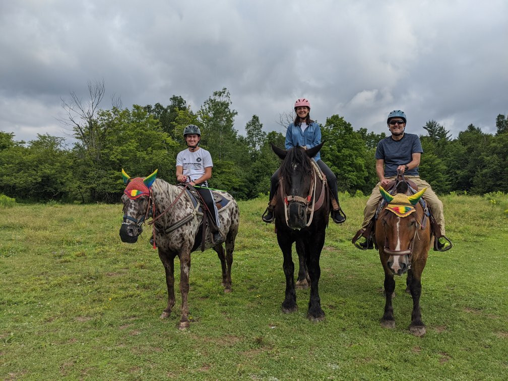 Lajoie Stables-Jeffersonville必去景点