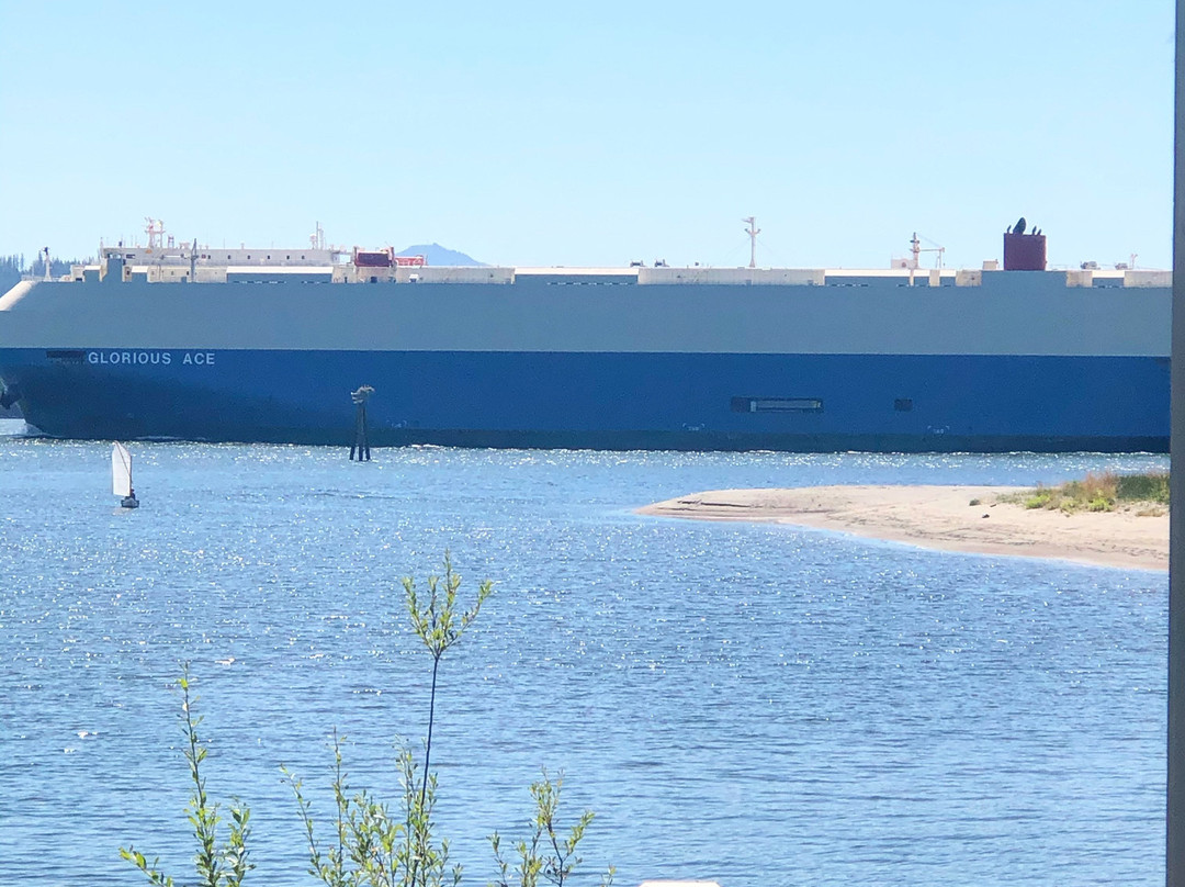 Skamokawa Resort主图