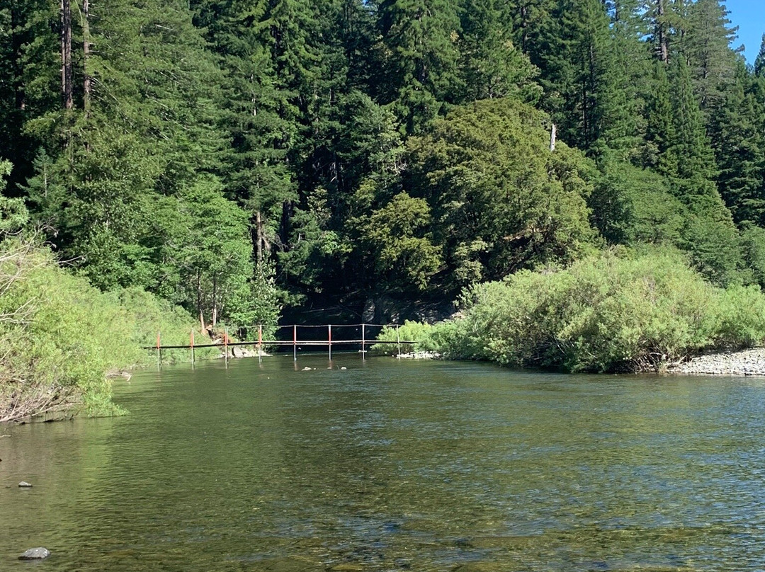 Richardson Grove State Park景点图片