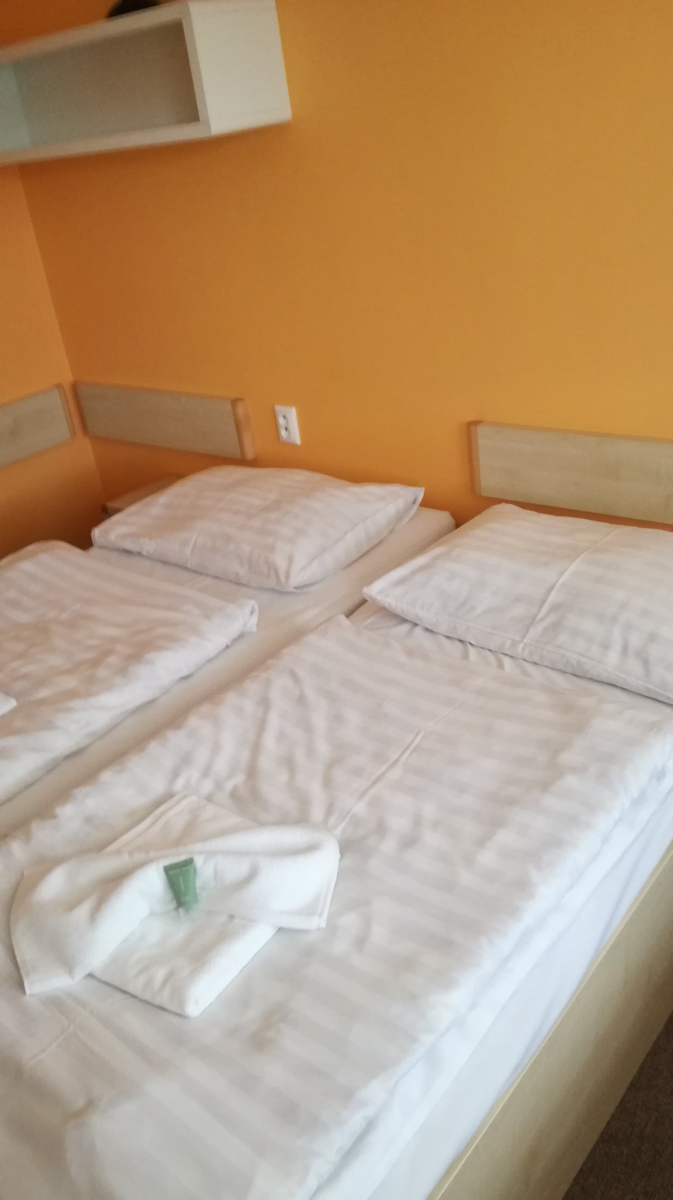 Horsky Hotel Brans-官方