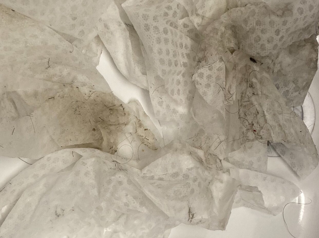 Hampton Inn & Suites by Hilton Lethbridge主图