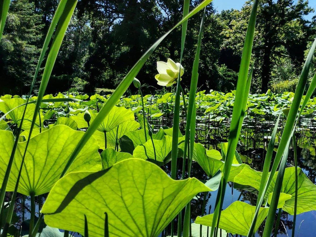 Arboretum Al Gaulhia-Espartignac必去景点