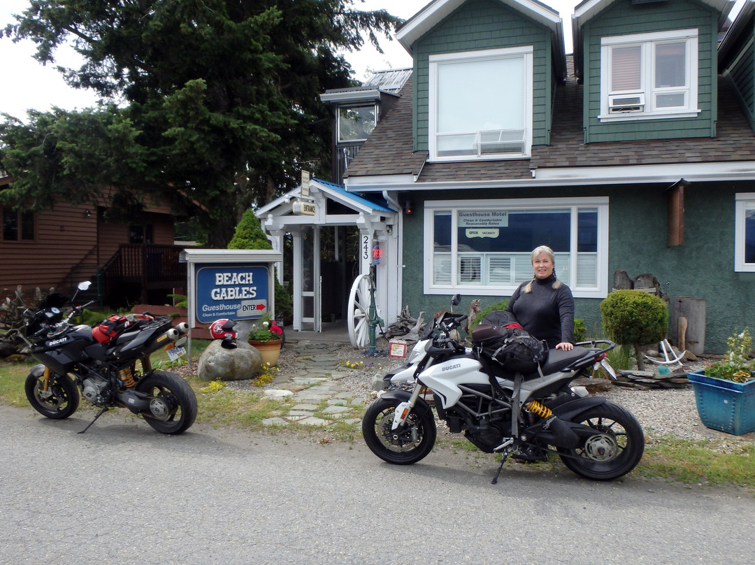 Beach Gables Guesthouse Motel主图