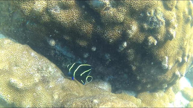 Acqua World-阿拉伊阿尔港必去景点