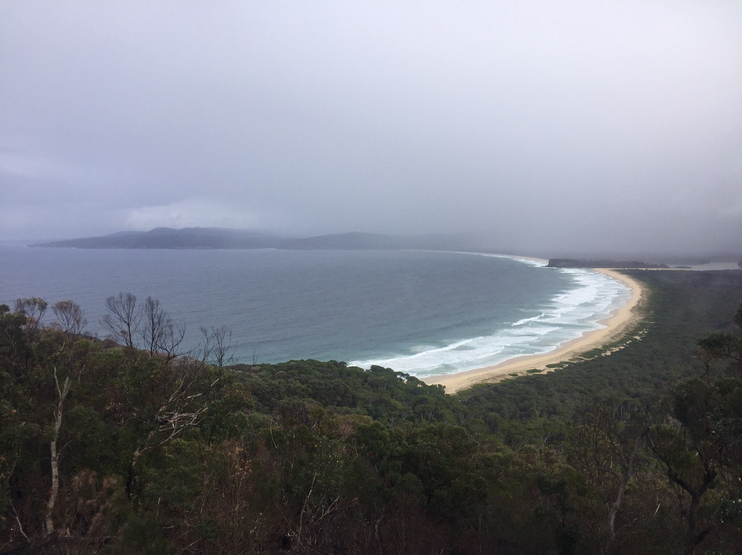 Disaster Bay Lookout-伊登港必去景点