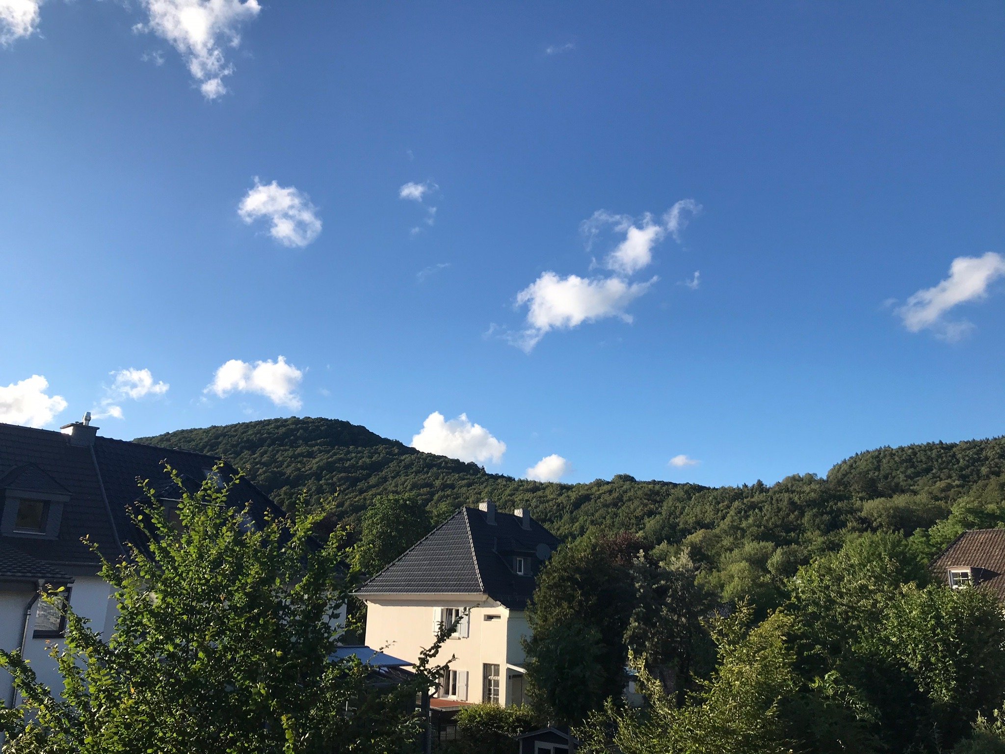 Kurparkhotel im Nationalpark Eifel-官方