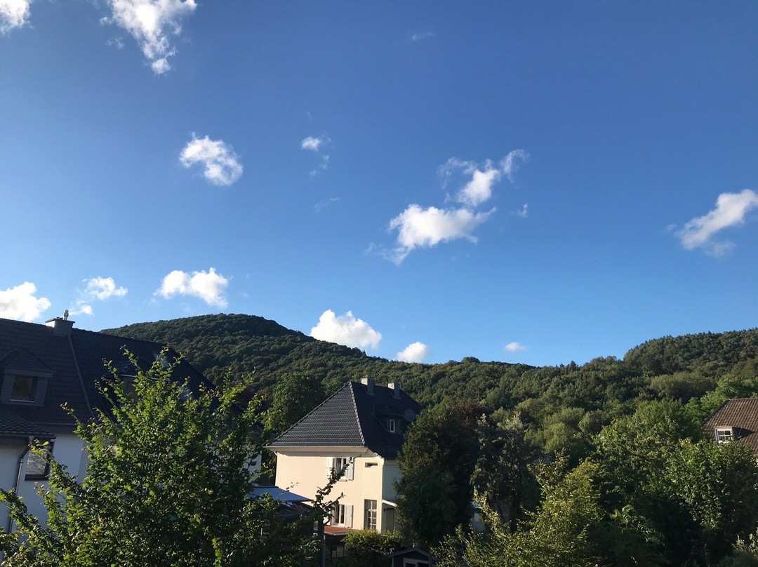 Kurparkhotel im Nationalpark Eifel主图