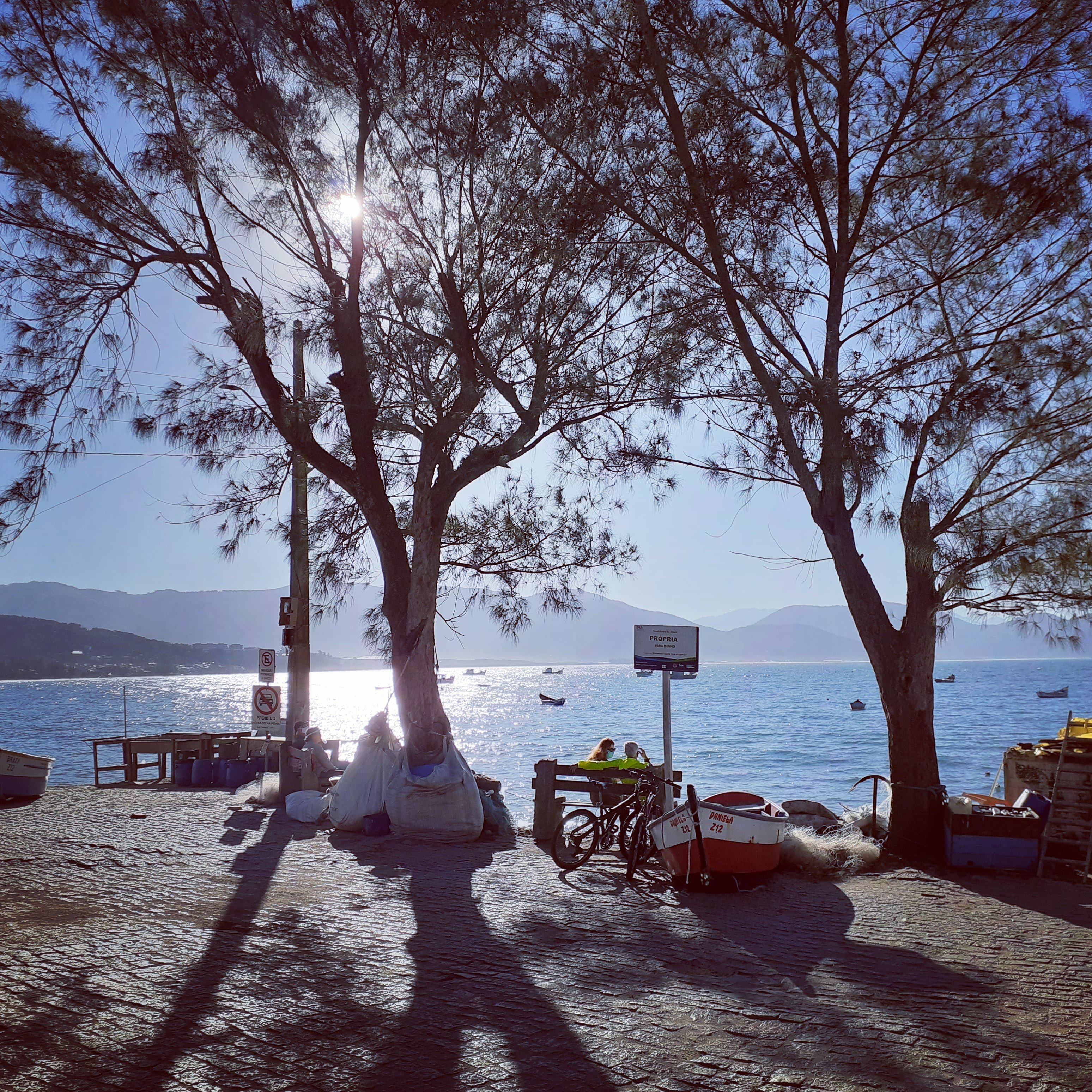 Residencial de Cesaro-官方