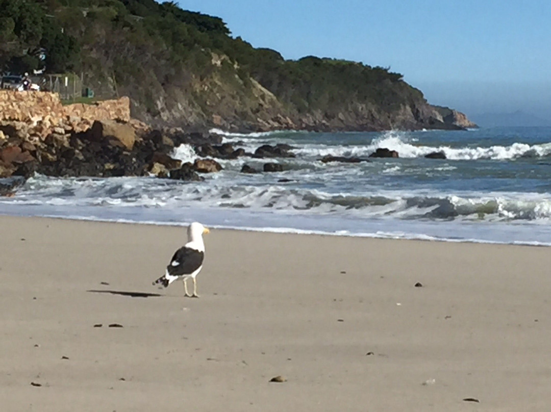 Bikini Beach-高登湾必去景点
