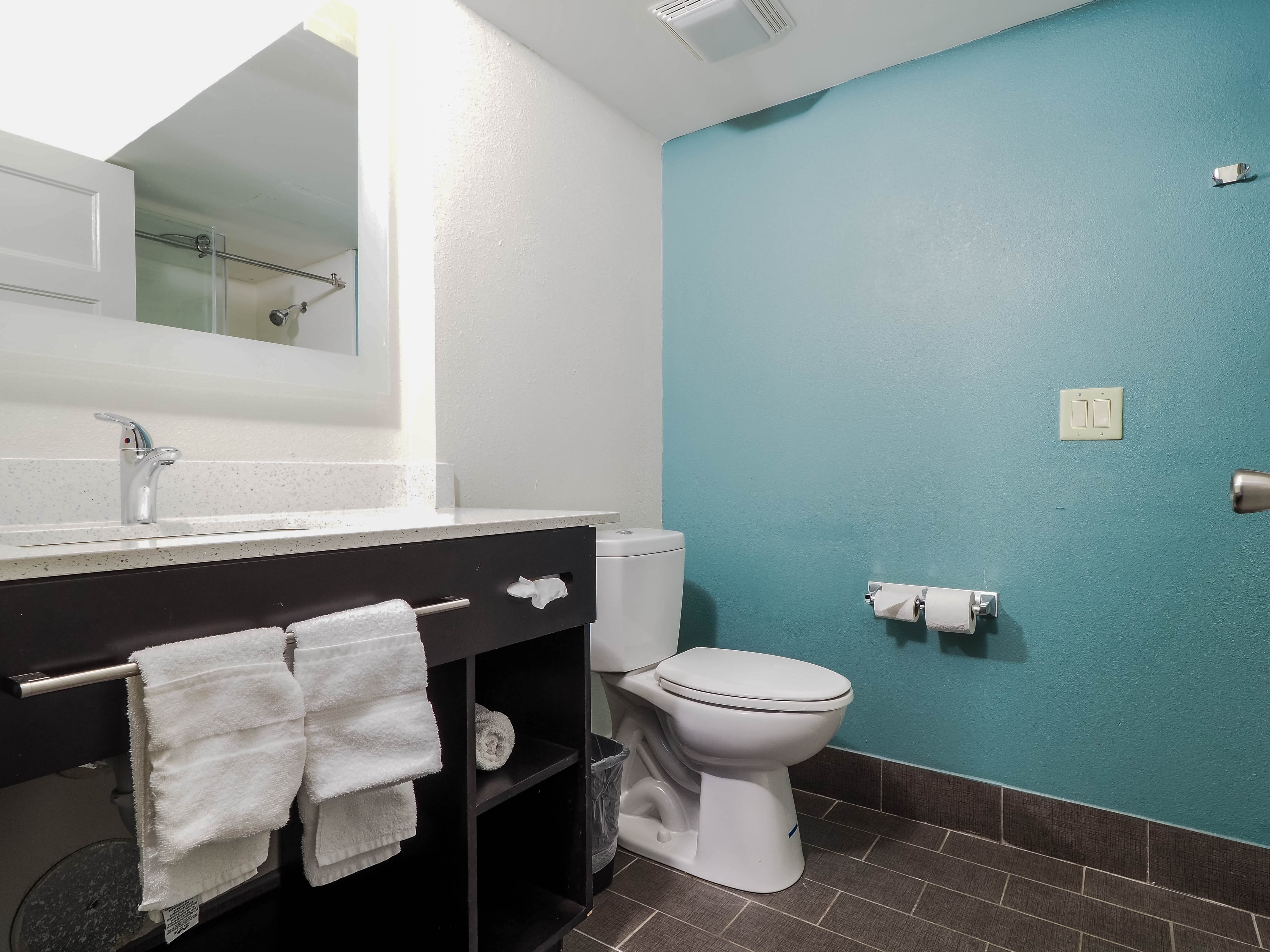 Clarion Pointe Wake Forest - Raleigh North-浴室