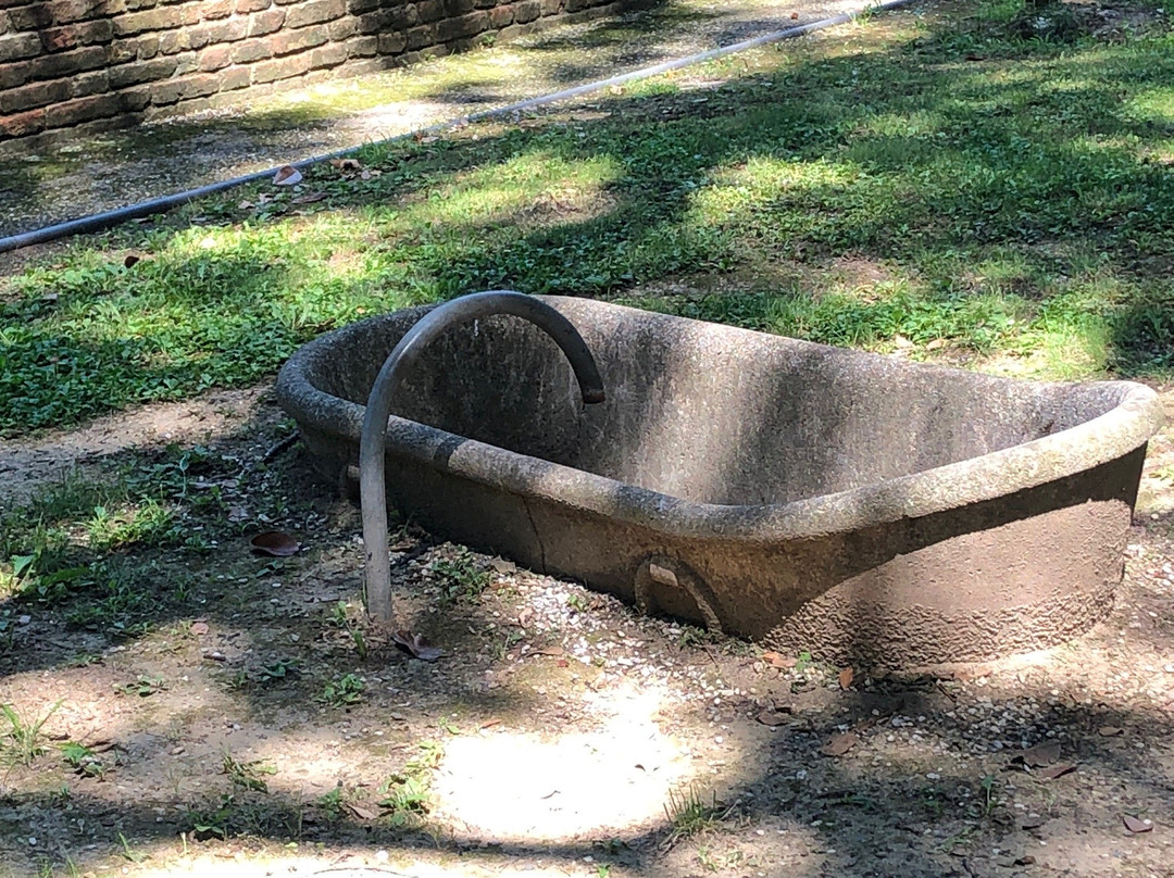 Villa Rota de Conturbia - Villa Linussio