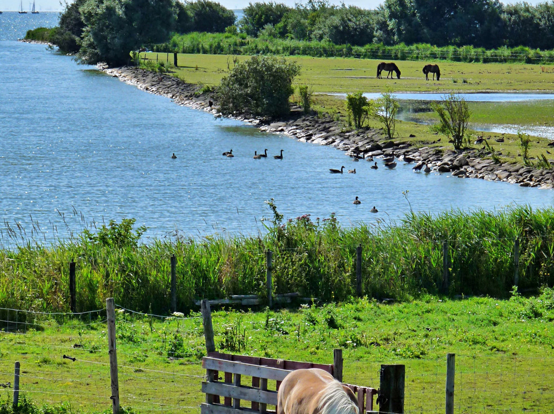 IJsselmeer (Lake IJssel)景点图片