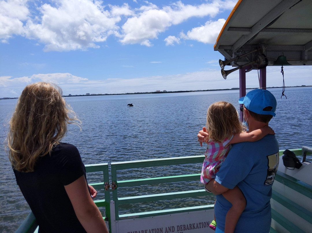 Cocoa Beach Dolphin Tours景点图片