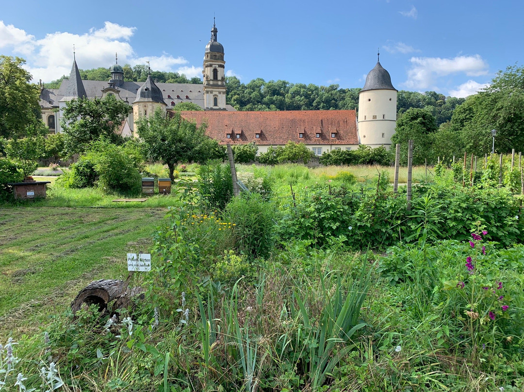 Kloster Schoental景点图片