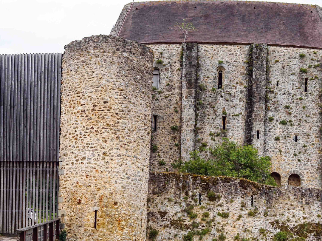 Chateau de la Madeleine景点图片