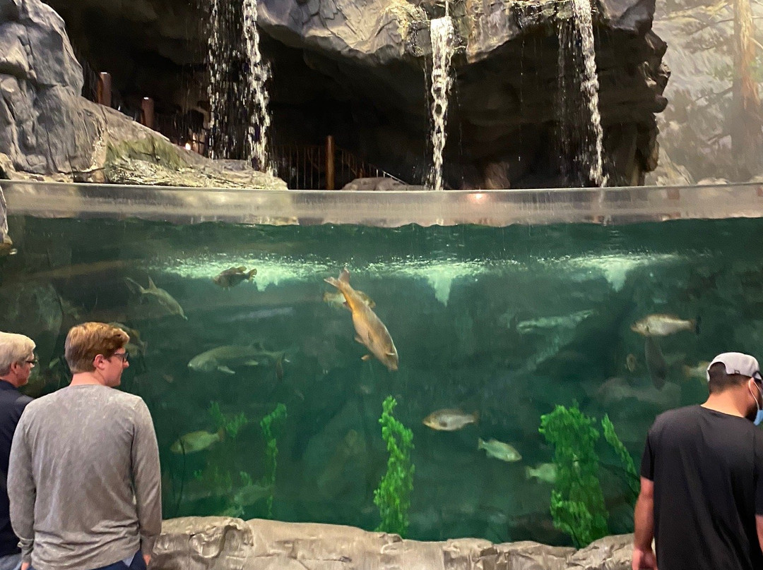 Bass Pro Shops-曼特卡必去景点