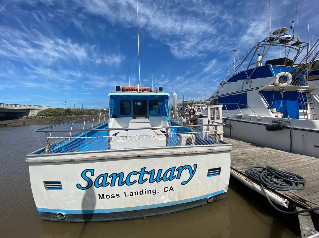 Capitola Hotel主图