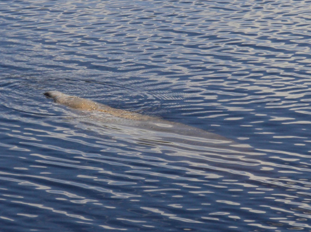 Big Cypress Swamp Welcome Center-奥乔皮必去景点