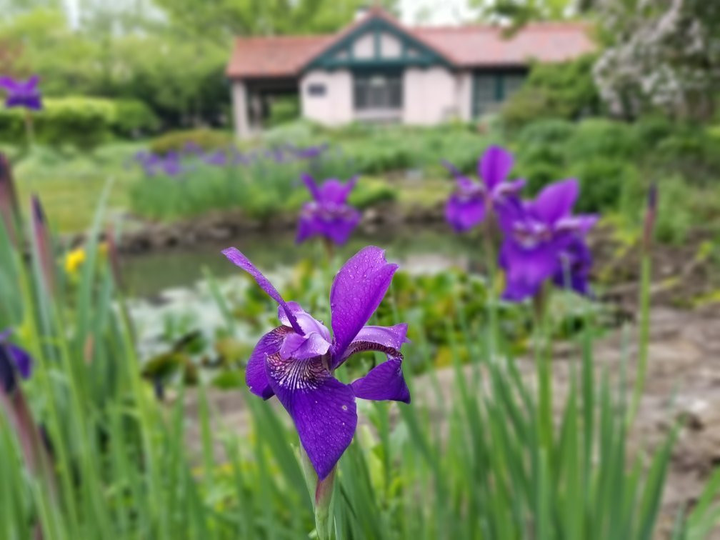 Smith Gardens-代顿必去景点