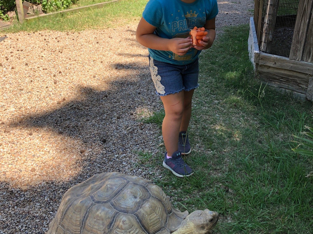 East Texas Gators and Wildlife Park-Grand Saline必去景点
