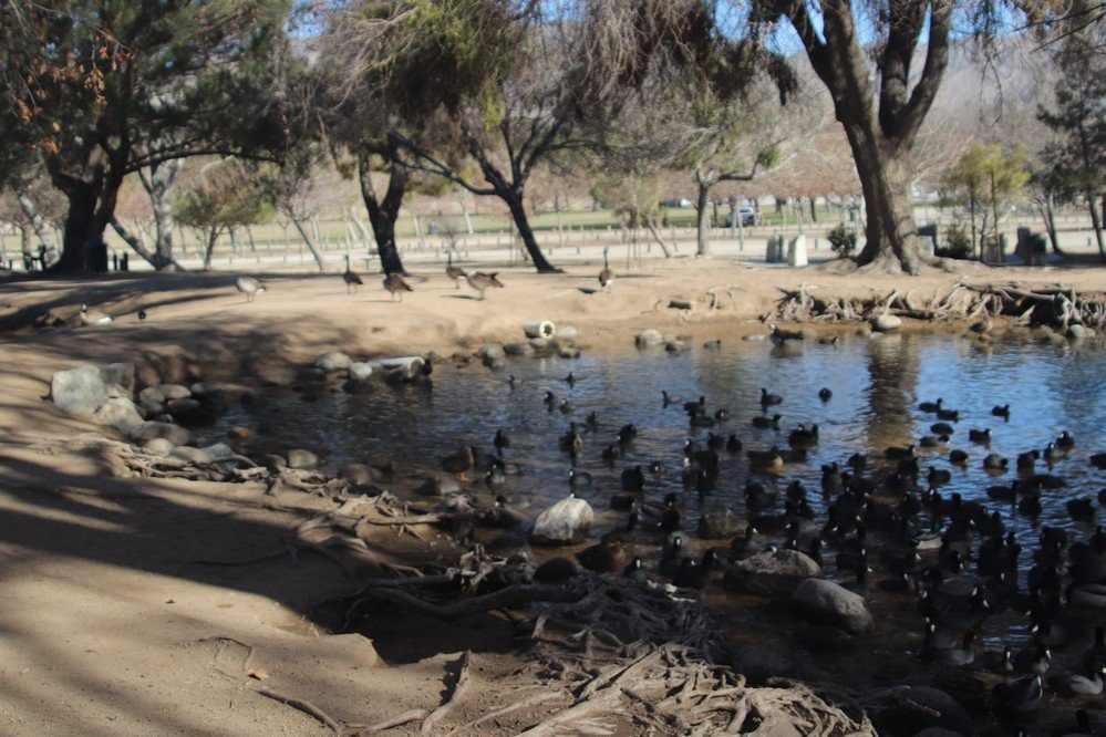 Hesperia Lake-希斯皮里亚必去景点