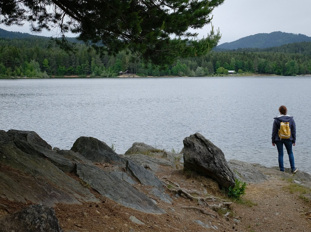 Forstsee Runde-Techelsberg必去景点