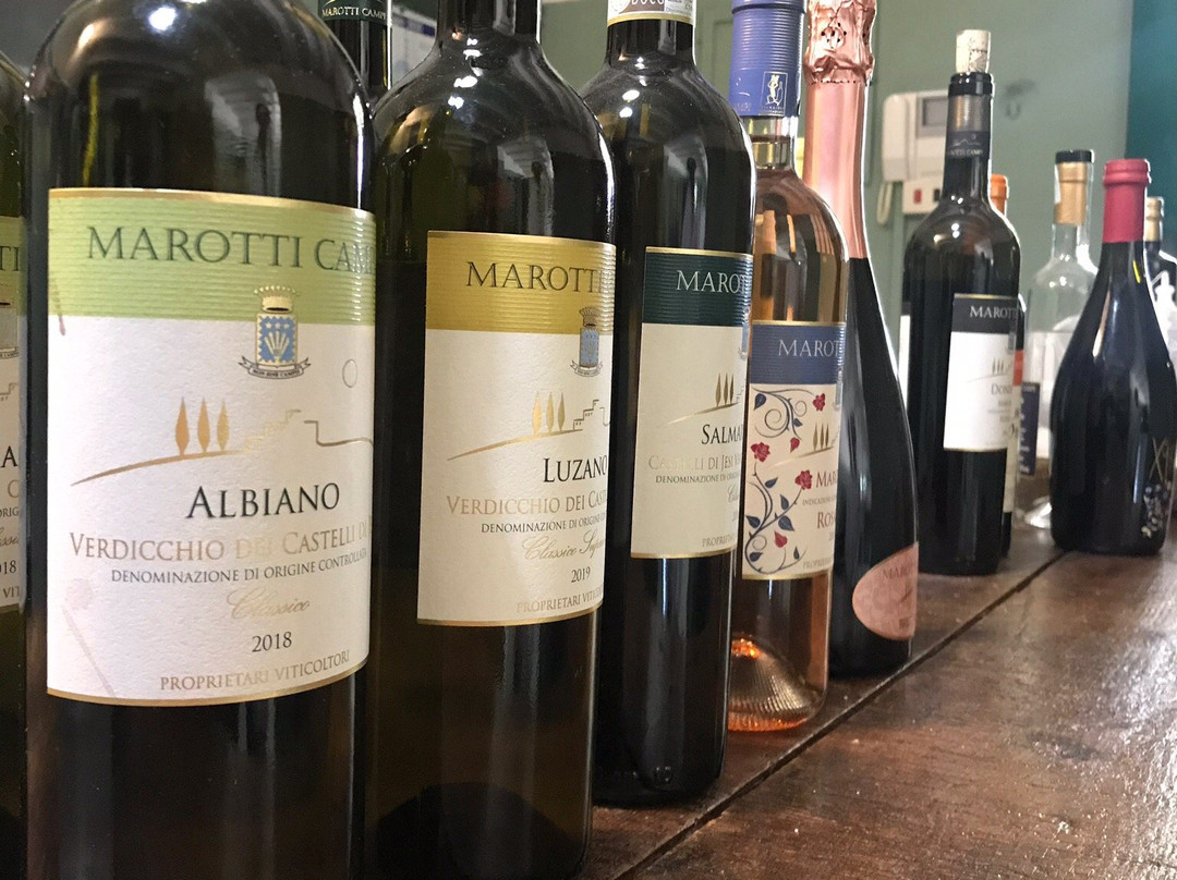 Marotti Campi-Morro d'Alba必去景点