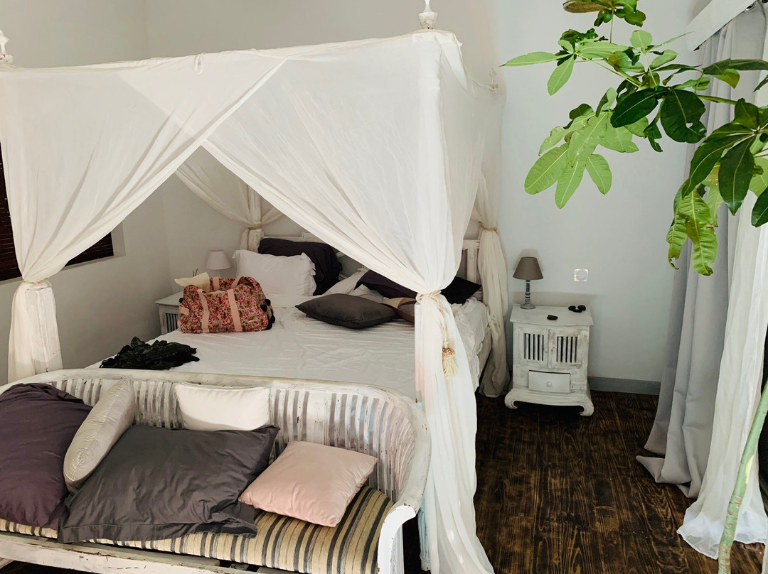 Le Jardin de Ravintsara主图