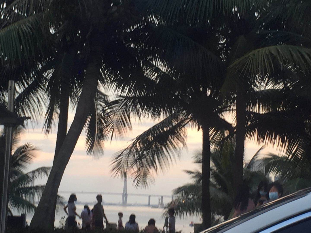 湛江海滨公园景点图片