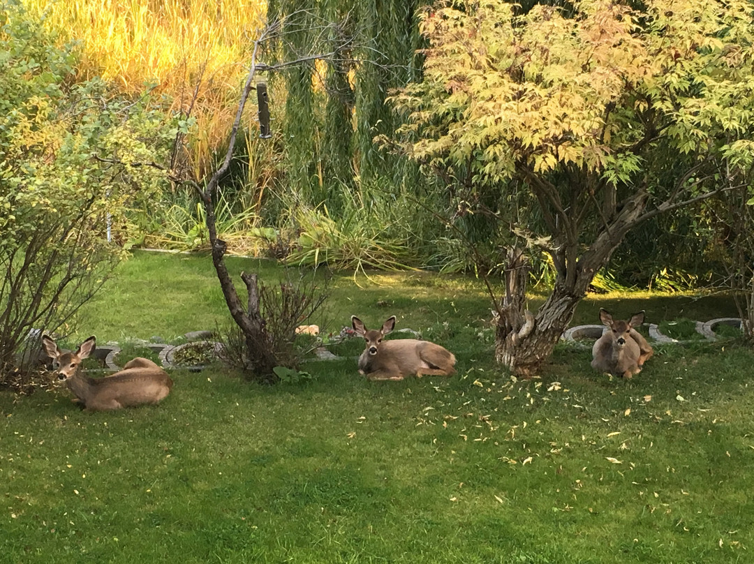 Blackbird Bay Bed & Breakfast主图