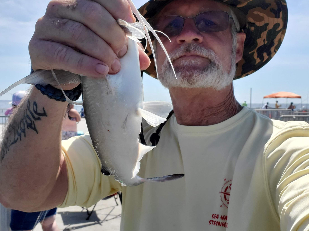 Cedar Key Fishing Pier景点图片