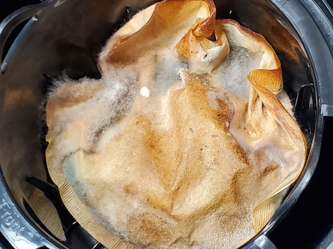 Garner Hotel Paducah West by IHG主图